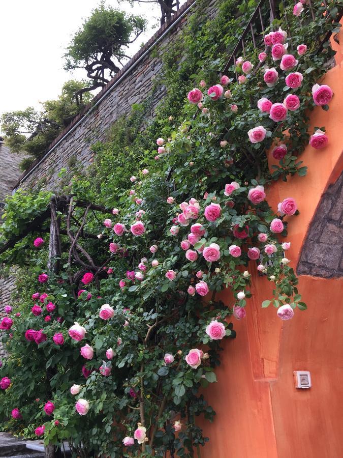 카넬리 View & Wine B&B 외부 사진