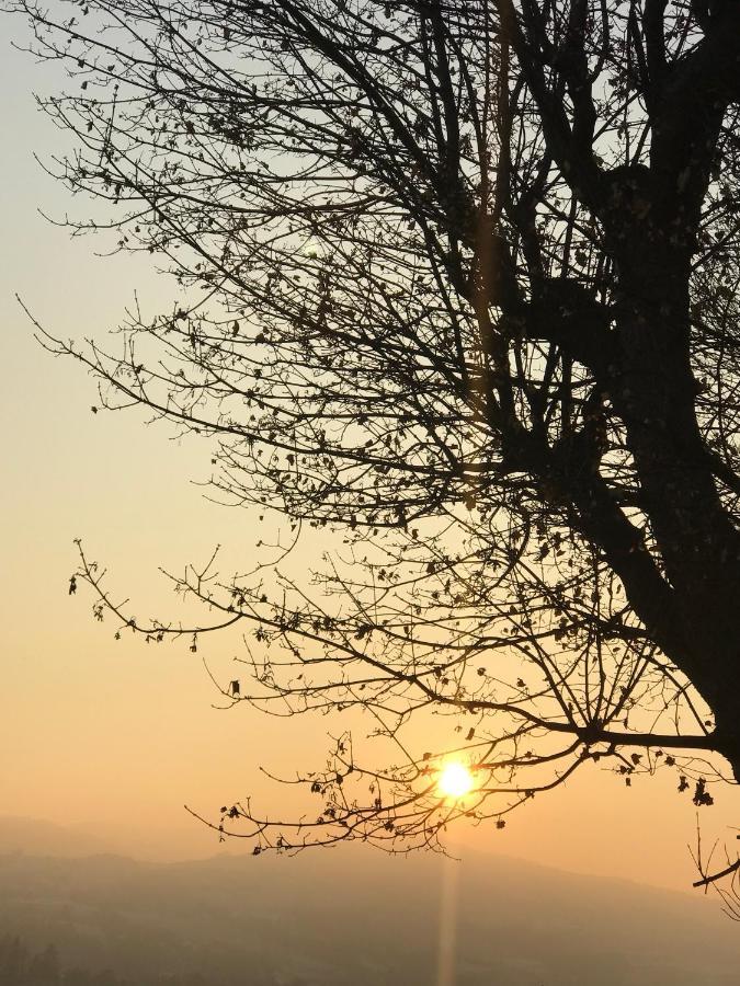 카넬리 View & Wine B&B 외부 사진